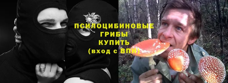 MEGA ССЫЛКА  Полевской  Псилоцибиновые грибы Psilocybe 